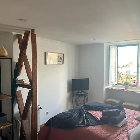 Alfama Authentic 公寓 *